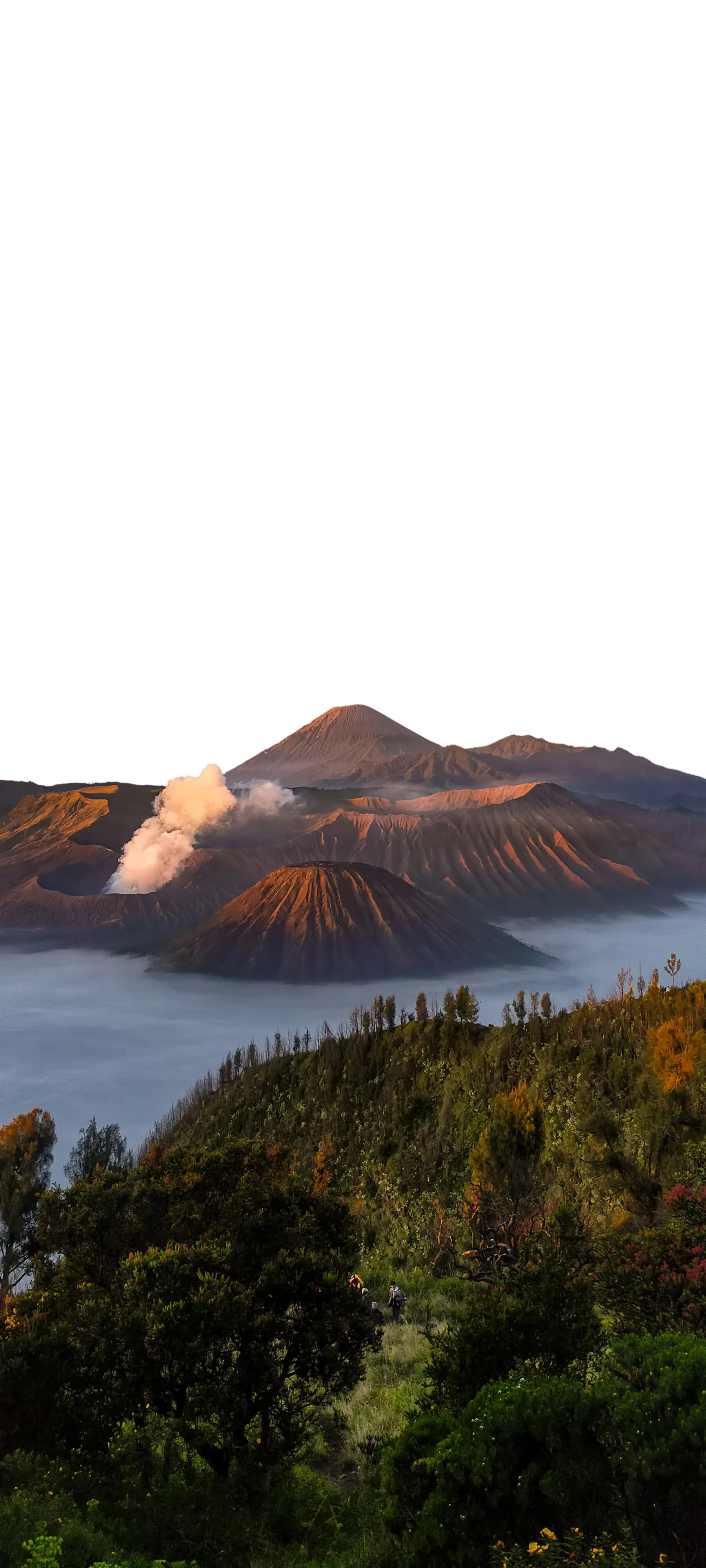 Bromo Mountain Cutout