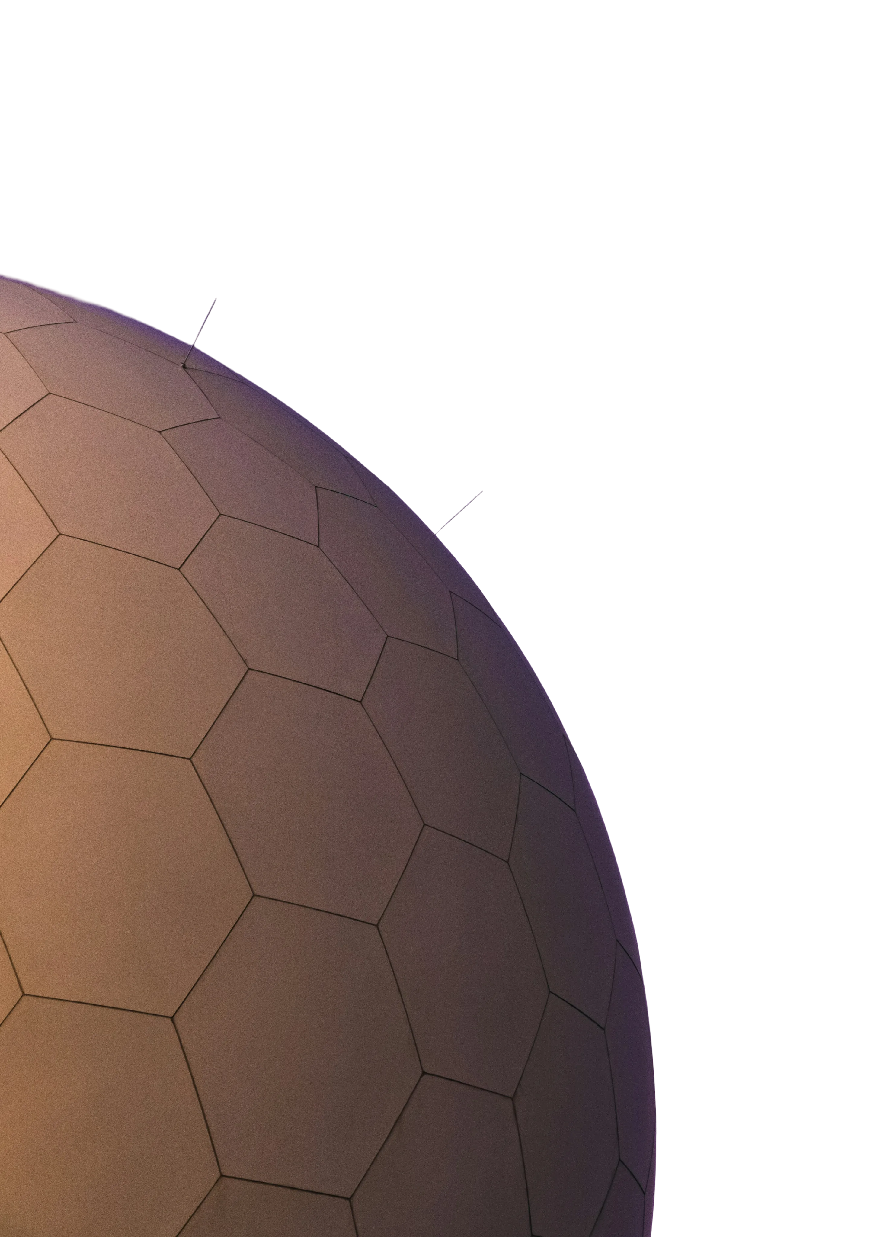 Globe Decorative Graphic